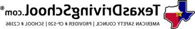 “TexasDrivingSchool"